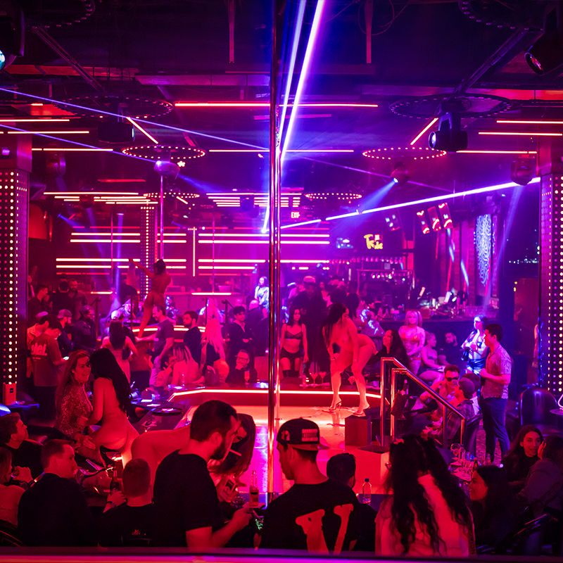 Scarlett s Cabaret Miami Strip Club Pictures Scarlett s Cabaret Miami Strip Club Pictures