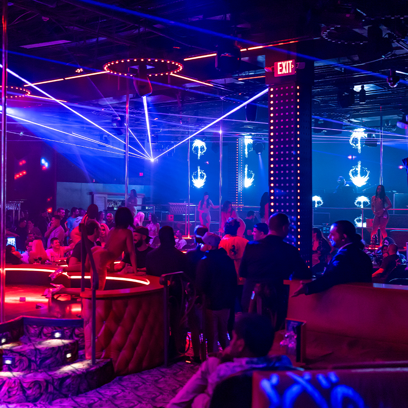 Scarlett s Cabaret Miami Strip Club Pictures Scarlett s Cabaret Miami Strip Club Pictures